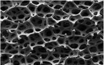 Gafeno malla portada